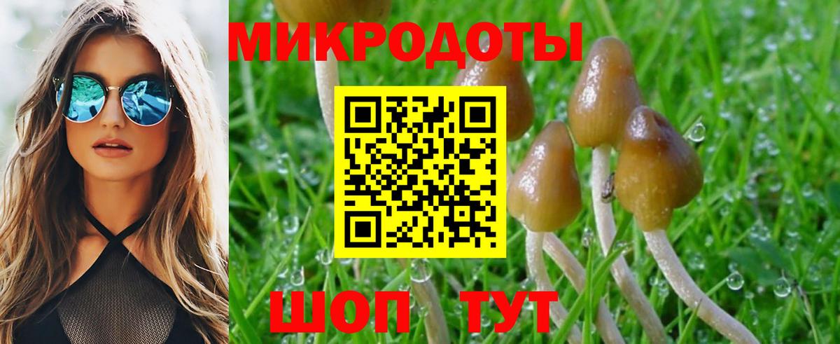 Хасавюрт  Галлюциногенные грибы мухоморы  Вход с VPN 